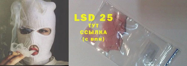 гидра Вязники