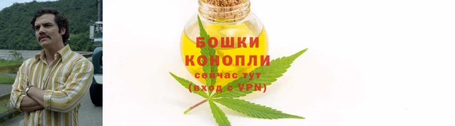 гидра Вязники