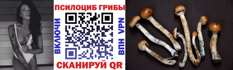 KRAKEN как войти  Якутск  Псилоцибиновые грибы MAGIC MUSHROOMS  купить закладку 
