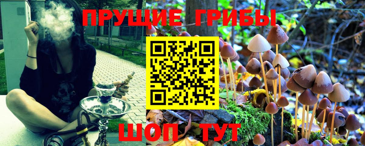 Псилоцибиновые грибы прущие грибы  Вход с VPN  Галлюциногенные грибы GOLDEN TEACHER  Якутск 